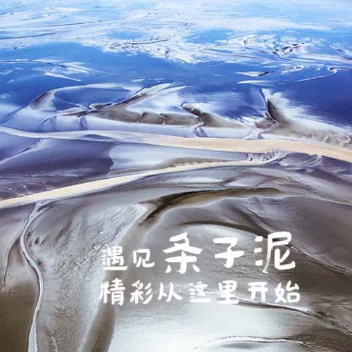 鹽城東臺條子泥景區VR全景漫游